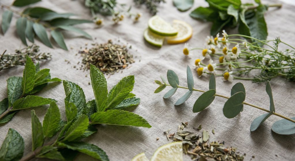 Plant-based ingredients